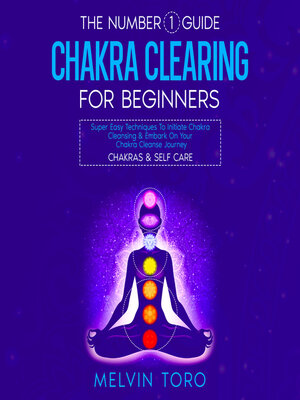 cover image of The Number 1 Guide